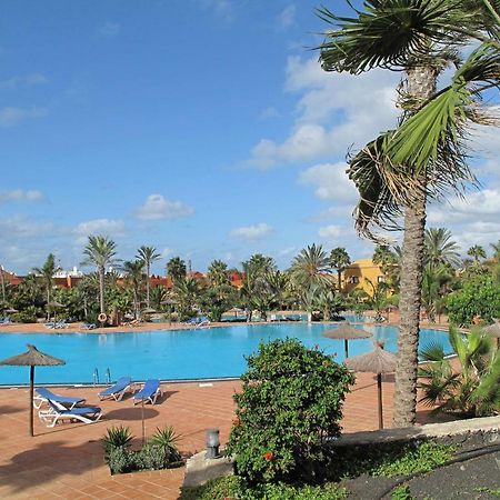 Apartment Gardenia, Oasis Tamarindo Corralejo Eksteriør bilde
