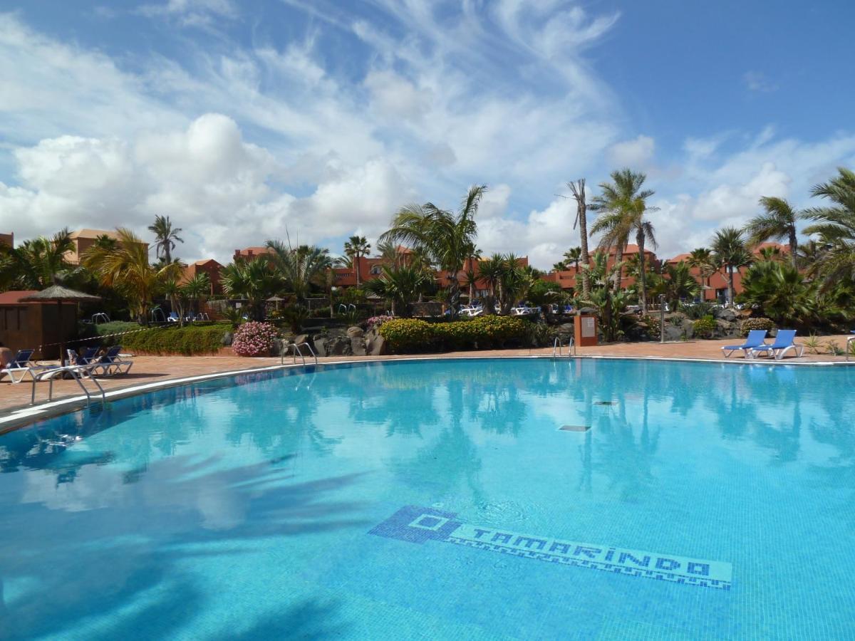 Apartment Gardenia, Oasis Tamarindo Corralejo Eksteriør bilde